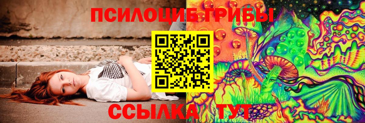 Галлюциногенные грибы мицелий  где можно купить наркотик  Выкса  Вход с VPN 